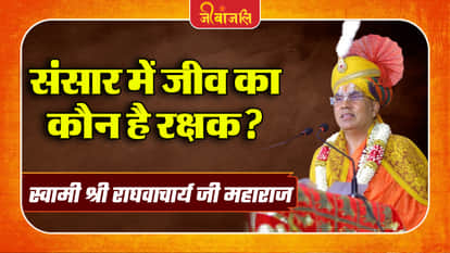 Swami Raghavacharya Ji Maharaj