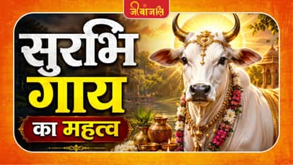 Surbhi Gaay Ka Mahatav: