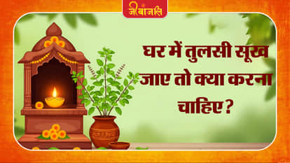 Tulsi Vastu Tips