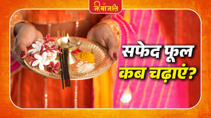 Pooja Me Safed Fool Ka Mahatav: