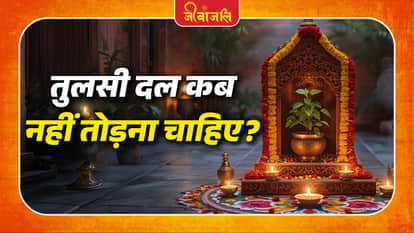 Tulsi Ke Patte