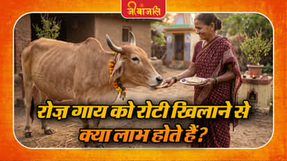 Gay Ko Roti Khilane Ka Mahtav: