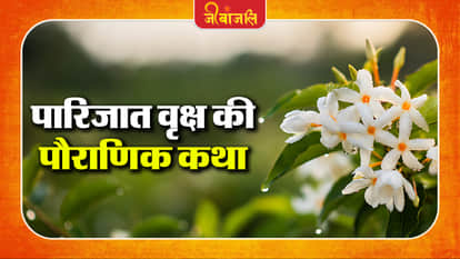 Parijaat Vriksh Ki Katha
