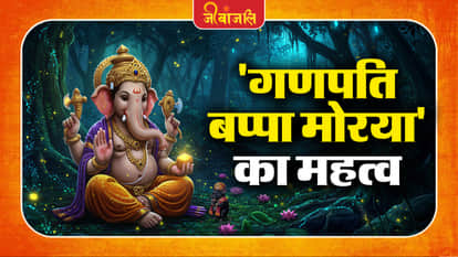 Ganesh Visarjan