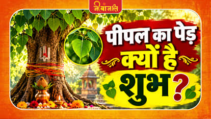 Peepal Ka Ped :