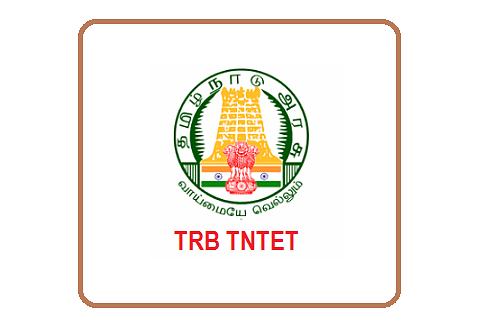 TN TET 2019 Answer Key Released: Download in 5 Simple Steps 