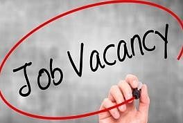 Delhi District Courts Recruitment 2019: Vacancy for Junior Judicial Assistant, Apply Till October 6