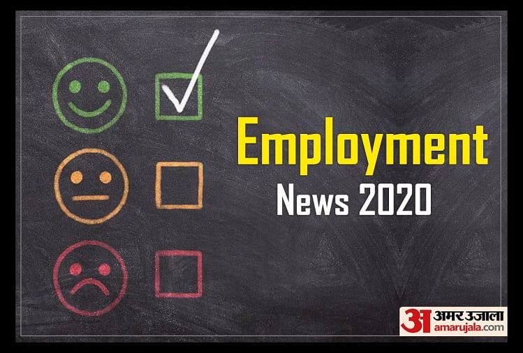 NBT India Editorial Assistant Recruitment 2020: Vacancy for 3 Posts, Graduates can Apply