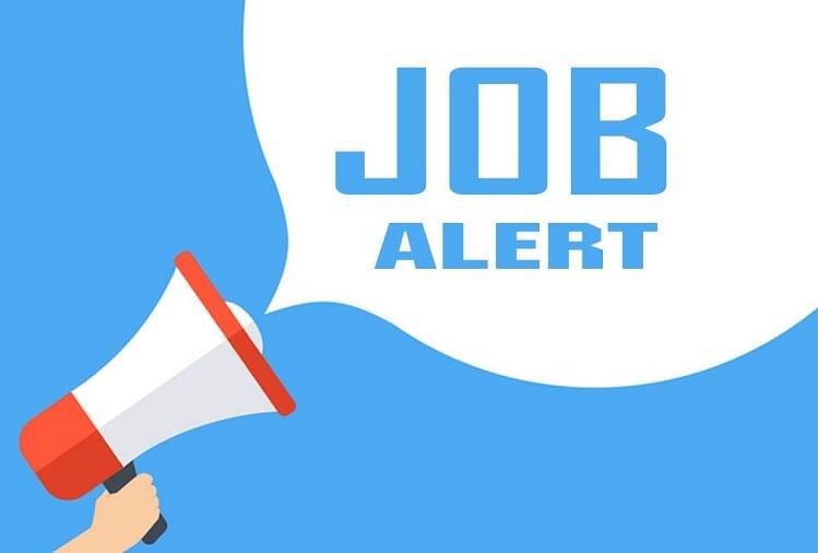 BOB Recruitment 2020: Vacancy for 7 Head Vacancies, Graduates can Apply