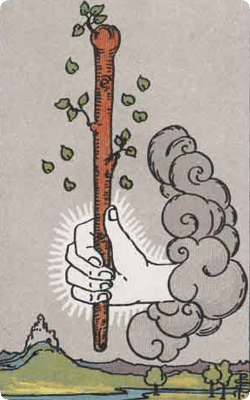 ace of wands