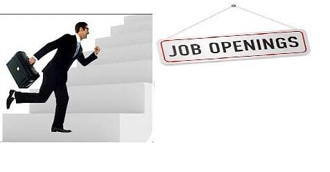 IIOR to recruit Technical Assistants/ Field Assistants, apply now