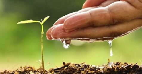 Indian Institute of Soil Science Is Hiring Field Assistants, Apply Now