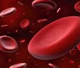 British varsity makes stem cells from blood