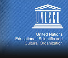Indian wins UNESCO's young scientist award