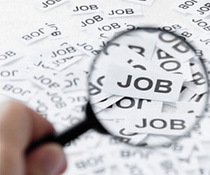 Job notification issued for 130 Typist vacancy