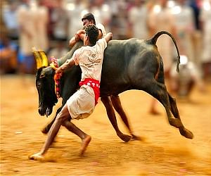 Students join protest against Jallikattu ban 