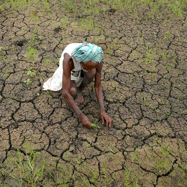 अंतरराष्ट्रीय सम्मेलन के प्रमुख आयोजक चिकित्सक संजय अरोड़ा ने बोला ये